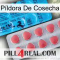 Píldora De Cosecha new14